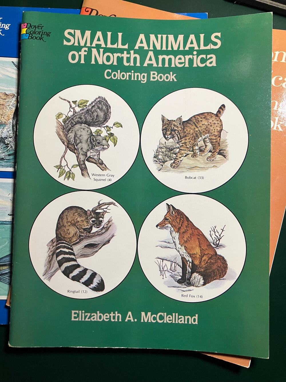 Vintage Dover Coloring Books (3)